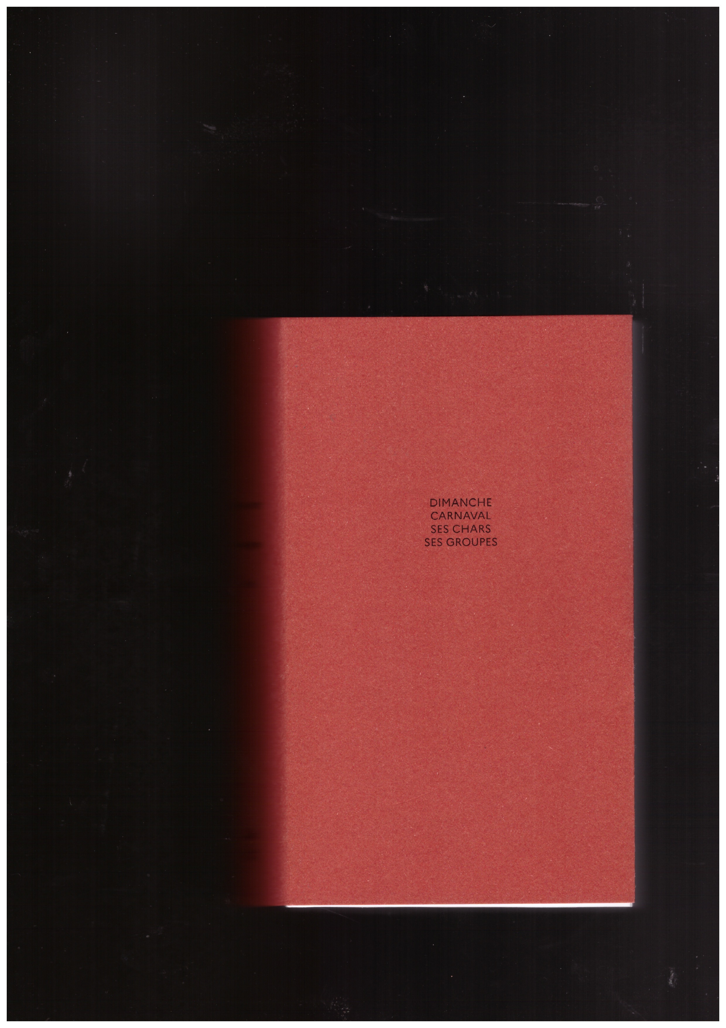 DE VIENNE, Jérôme; VAN ANHOLT, Julien - Intentions 4.DIMANCHE CARNAVAL SES CHARS SES GROUPES